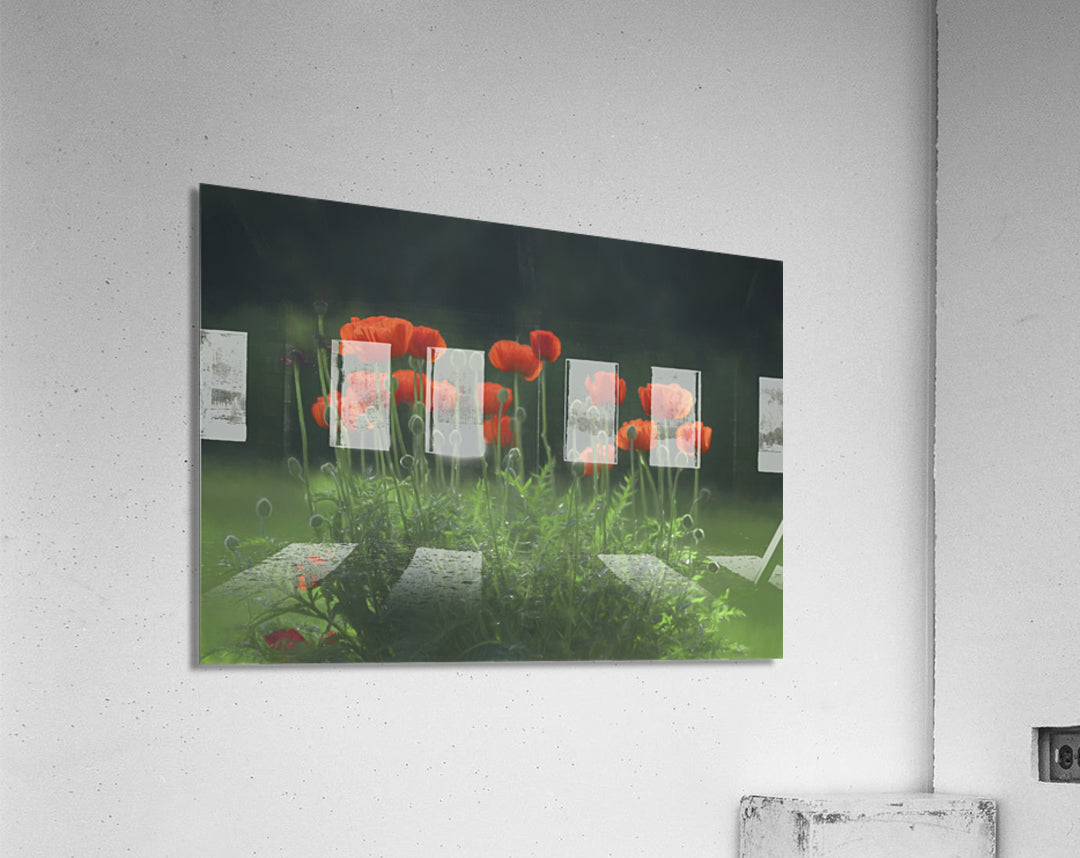 Acrylic Print