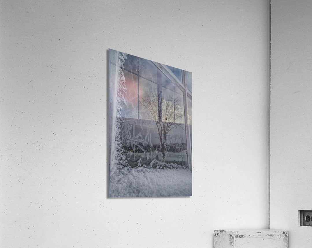 Acrylic Print