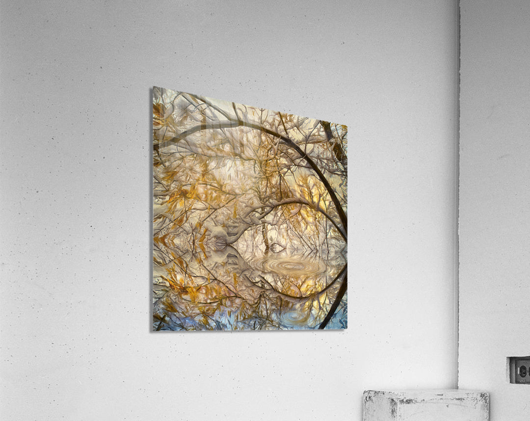 Acrylic Print