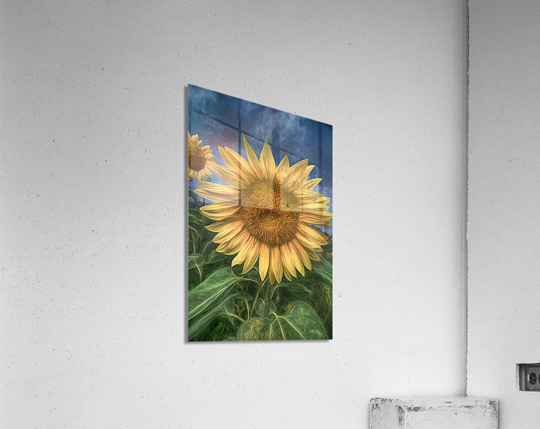 Acrylic Print