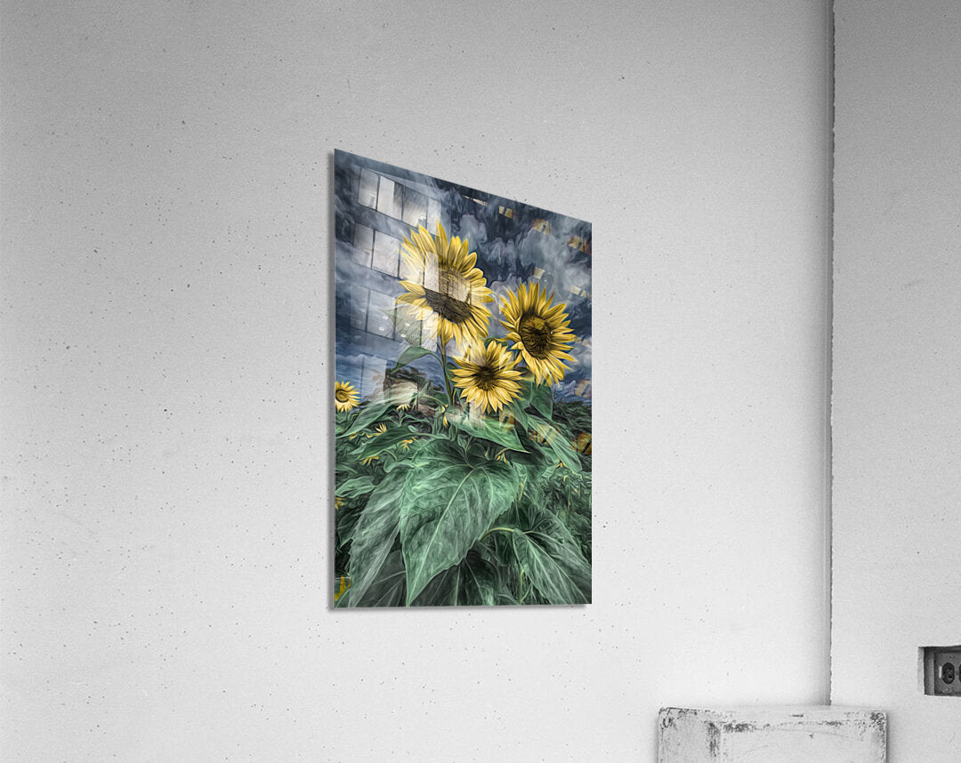 Acrylic Print