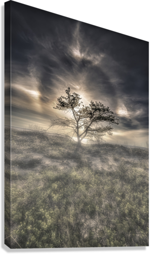 Giclée Stretched Canvas Print