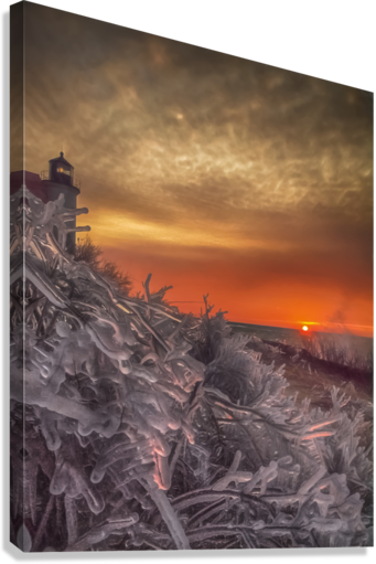 Giclée Stretched Canvas Print