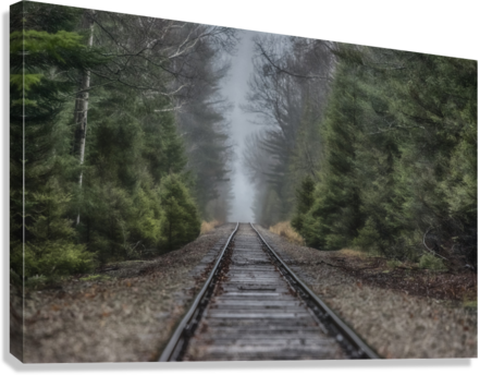 Giclée Stretched Canvas Print