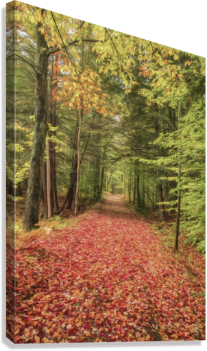 Giclée Stretched Canvas Print