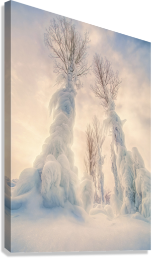 Giclée Stretched Canvas Print