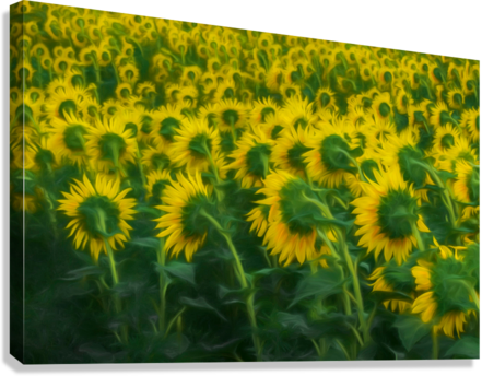 Giclée Stretched Canvas Print