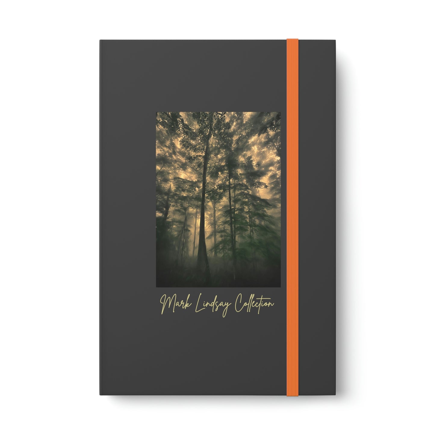 Tree Wisdom Color Contrast Journal