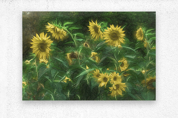 Brushed Metal Print