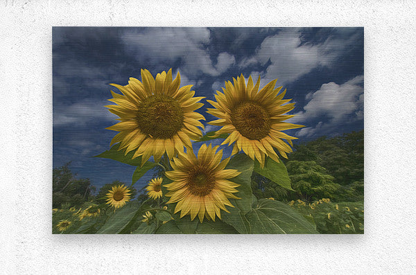 Brushed Metal Print