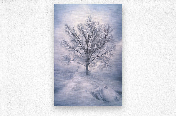 Brushed Metal Print