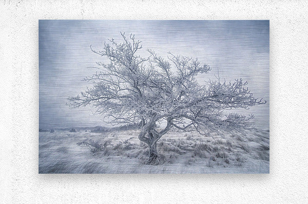 Brushed Metal Print