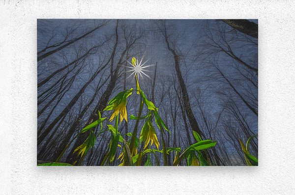 Brushed Metal Print
