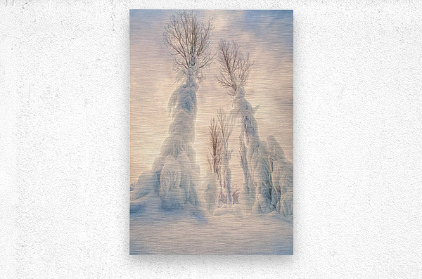 Brushed Metal Print