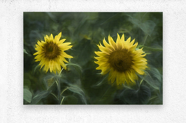 Brushed Metal Print
