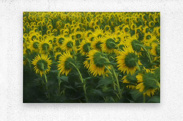 Brushed Metal Print