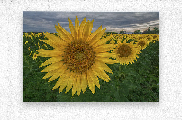 Brushed Metal Print