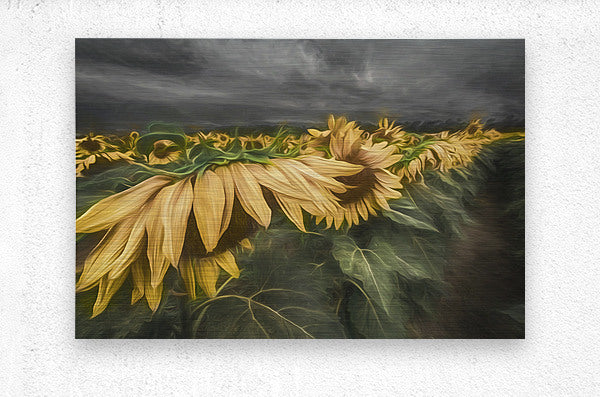 Brushed Metal Print