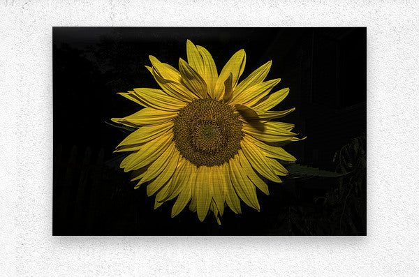 Brushed Metal Print