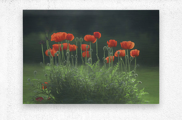 Brushed Metal Print