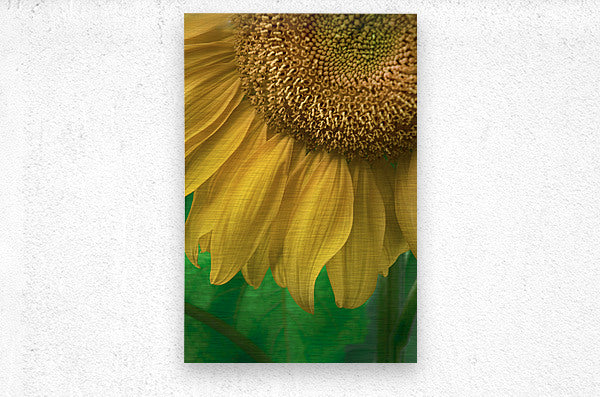 Brushed Metal Print