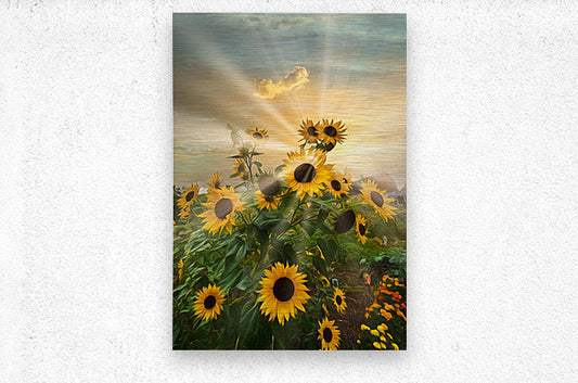 Brushed Metal Print