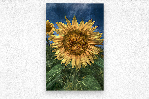 Brushed Metal Print