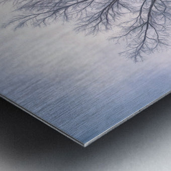 Brushed Metal Print