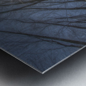 Brushed Metal Print