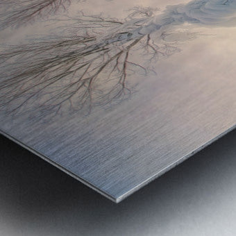 Brushed Metal Print