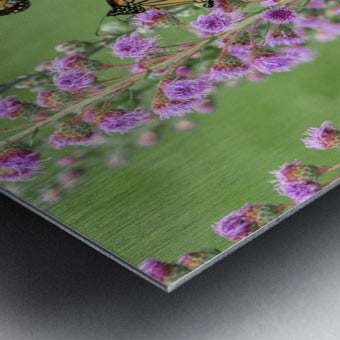 Brushed Metal Print