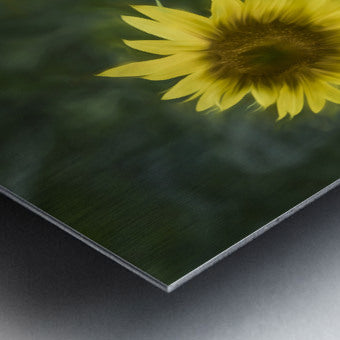 Brushed Metal Print