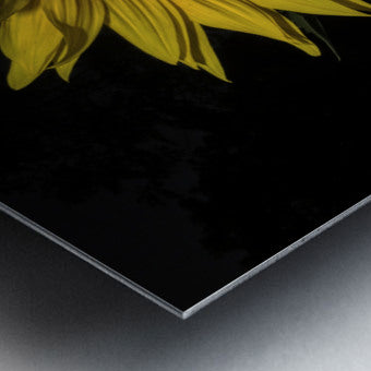 Brushed Metal Print