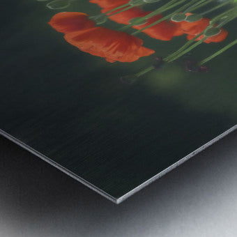Brushed Metal Print