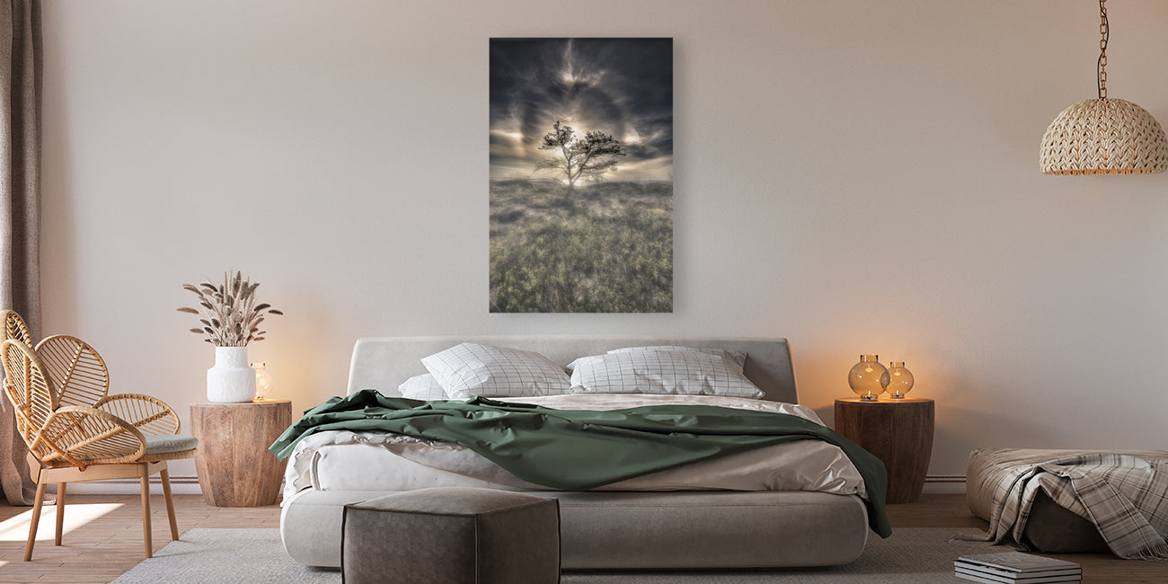 Giclée Stretched Canvas Print