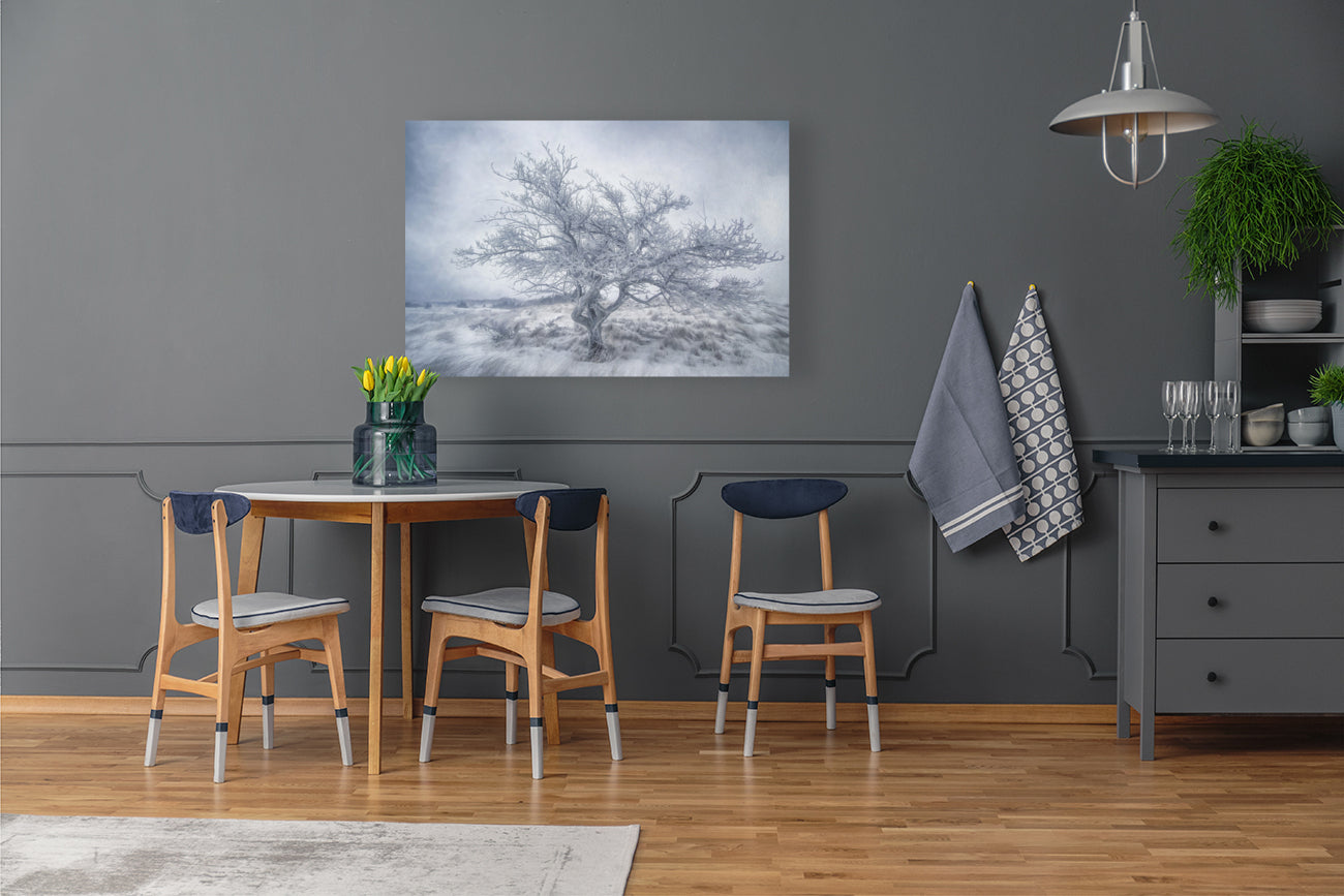 Giclée Stretched Canvas Print