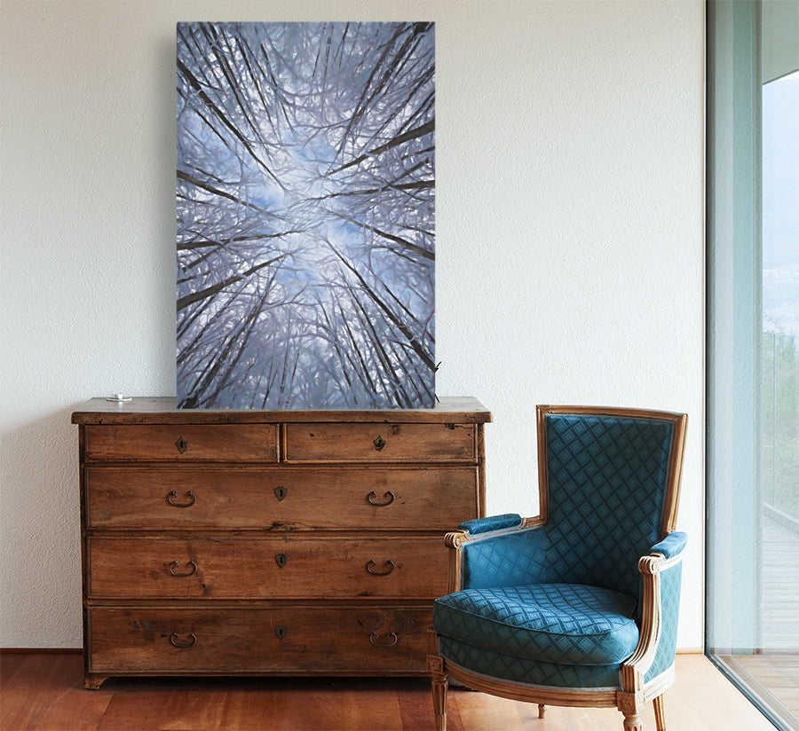 Giclée Stretched Canvas Print