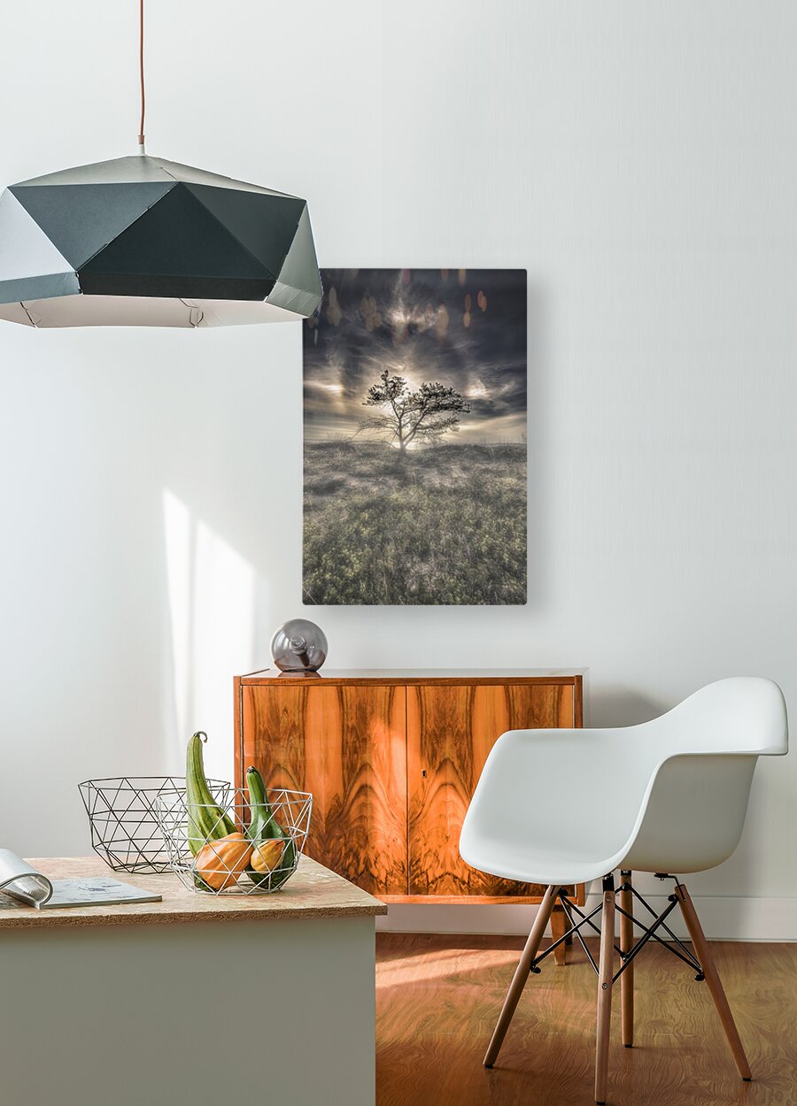 HD Sublimation Metal Print
