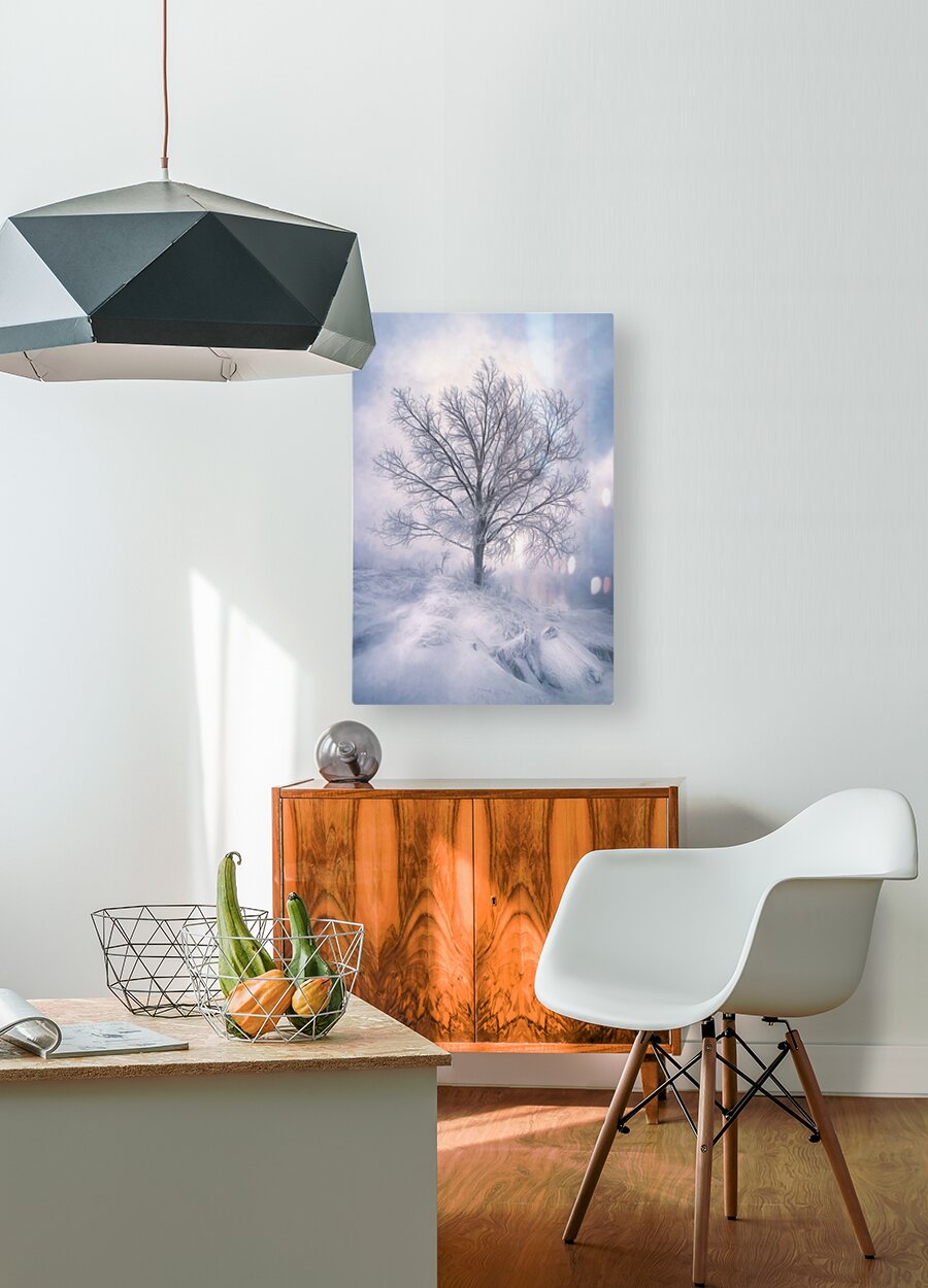 HD Sublimation Metal Print