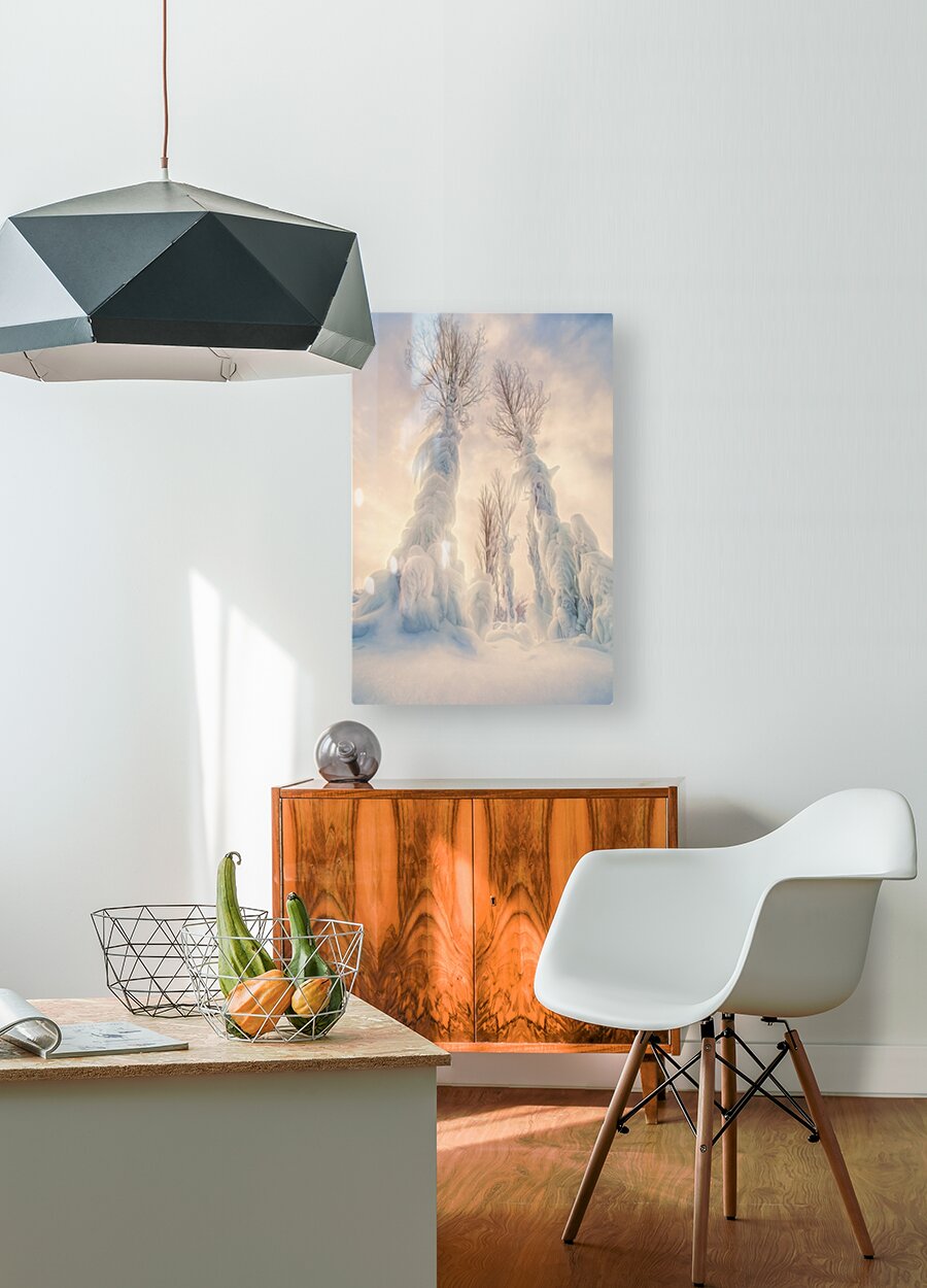 HD Sublimation Metal Print