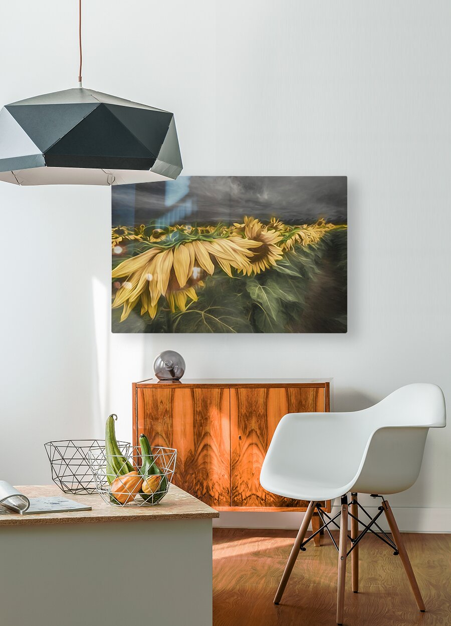 HD Sublimation Metal Print