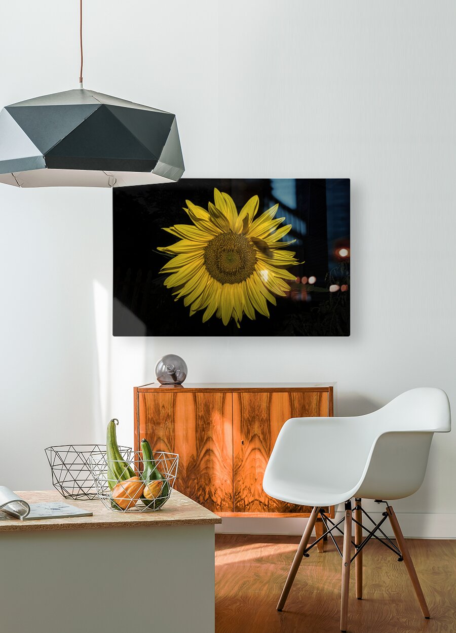 HD Sublimation Metal Print