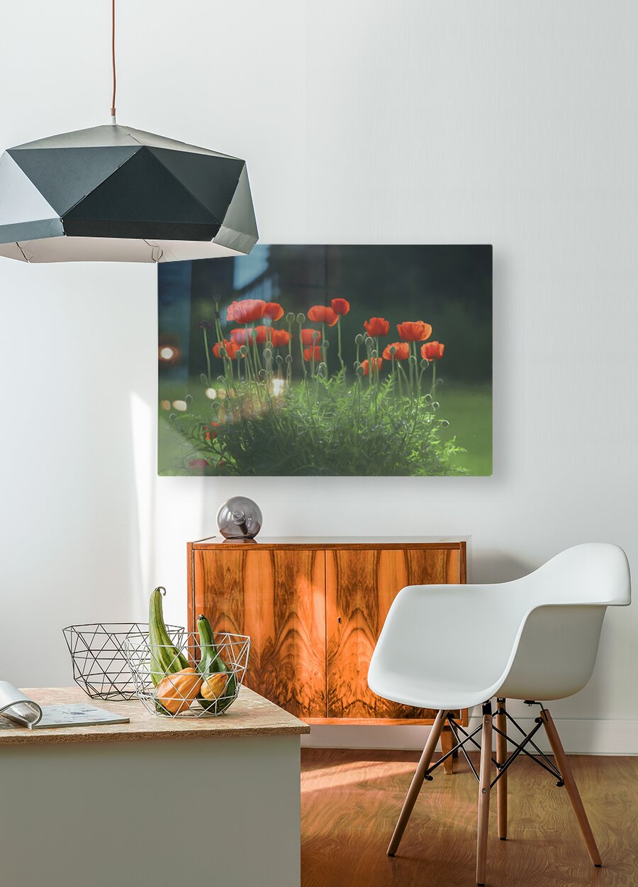 HD Sublimation Metal Print