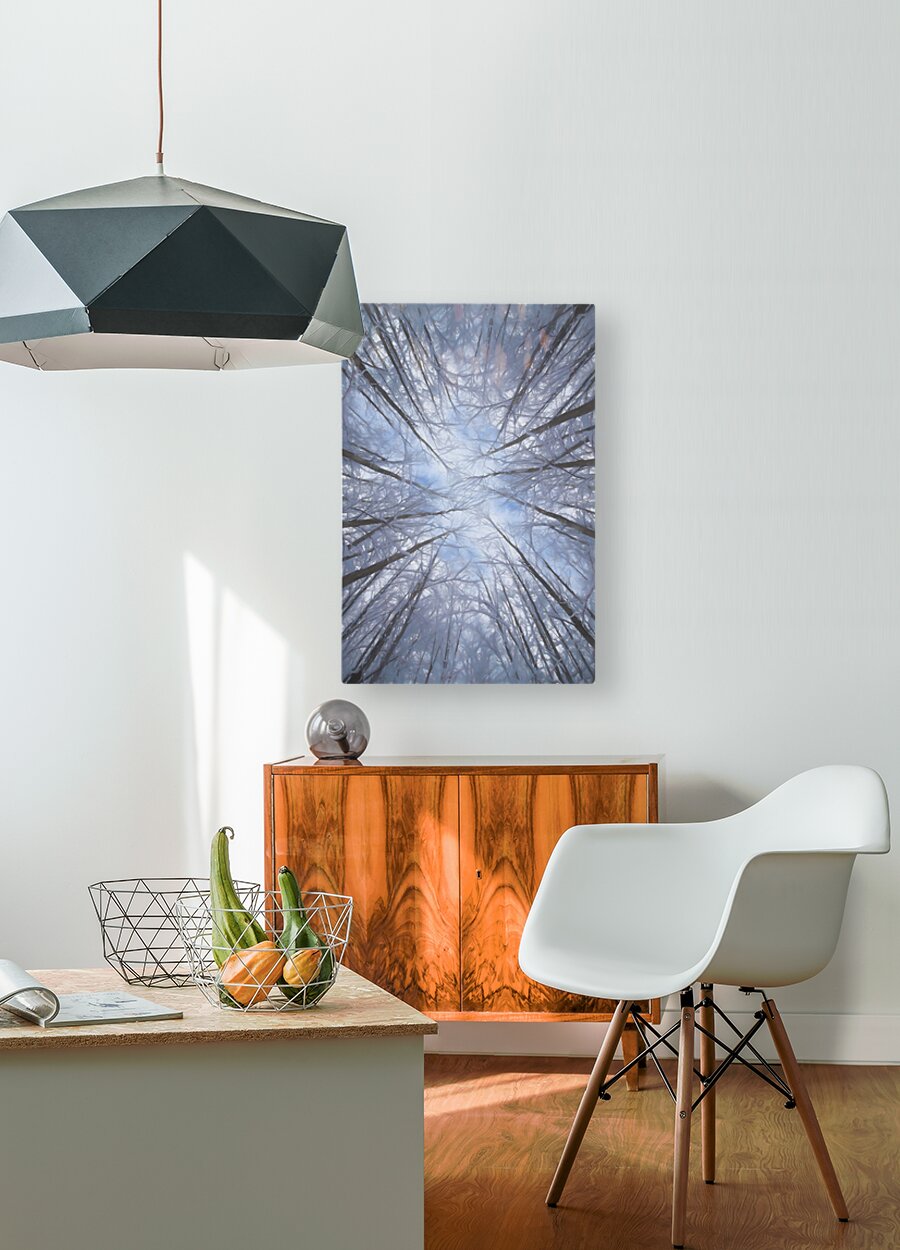 HD Sublimation Metal Print