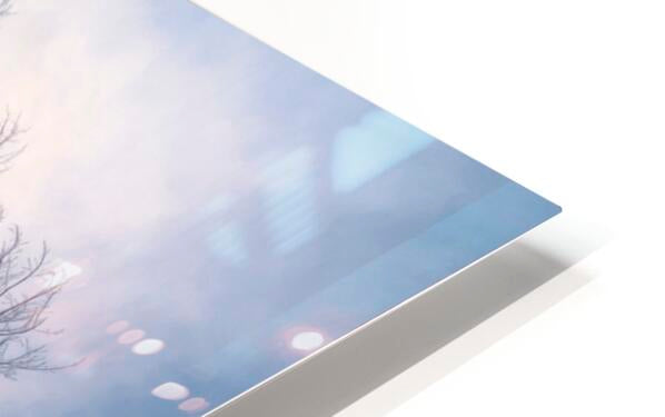HD Sublimation Metal Print