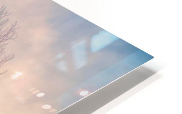 HD Sublimation Metal Print