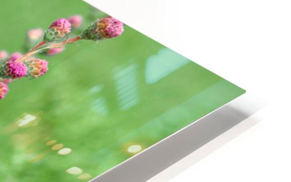 HD Sublimation Metal Print