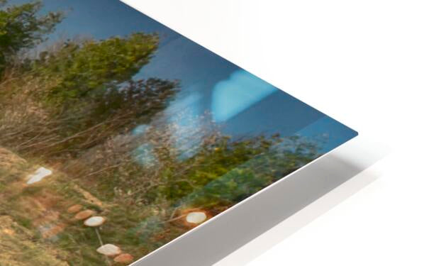 HD Sublimation Metal Print