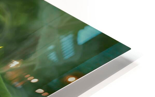 HD Sublimation Metal Print