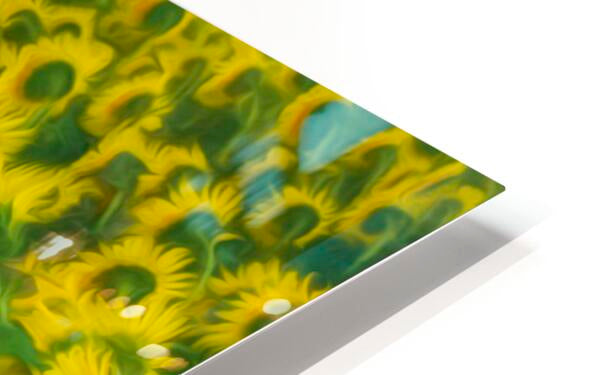 HD Sublimation Metal Print